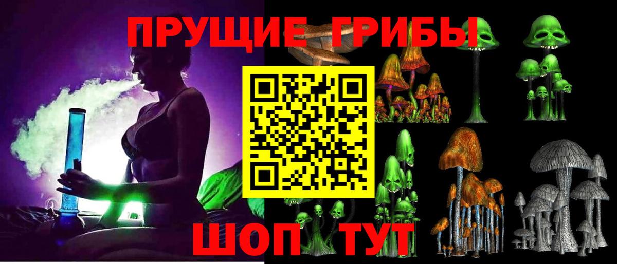 Псилоцибиновые грибы Cubensis  Вход с VPN  Псилоцибиновые грибы Psilocybe  Великие Луки 